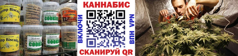 магазин продажи наркотиков  МЕГА ссылки  Canna-Cookies марихуана  Гусь-Хрустальный 