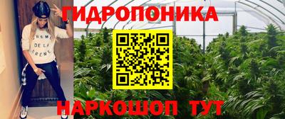 СК Кунгур