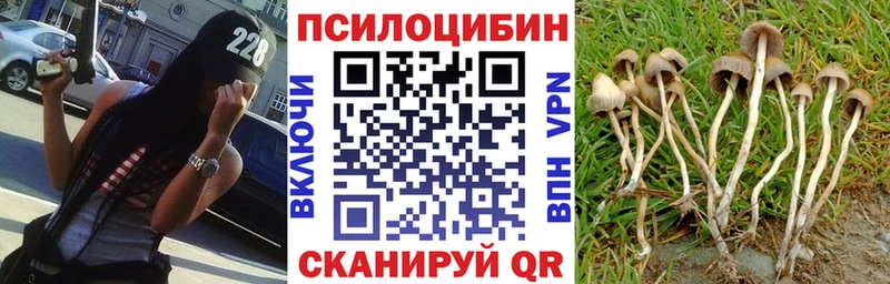 цены   Гусь-Хрустальный  Псилоцибиновые грибы Psilocybe 