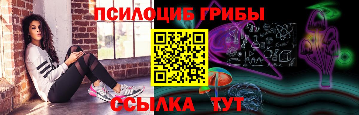 Псилоцибиновые грибы прущие грибы  Галлюциногенные грибы Psilocybine cubensis  Гусь-Хрустальный  наркошоп  Вход с VPN 